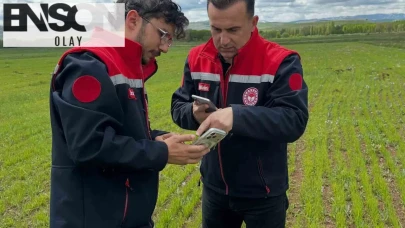 Tarlada dijital denetim dönemi: Aydıntepe’de ürünler uyduyla mercek altına alındı