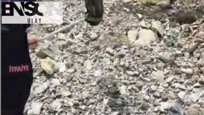Evdeki davetsiz misafir paniğe neden oldu: İtfaiye ekipleri santim santim aradı