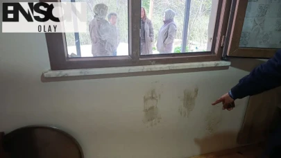 Giresun’da korku dolu anlar: Evlerin demirlerini söküp içeri giren ayılar için düğmeye basıldı