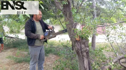 Emirdağ’ın yeşil dönüşümü: Muhtar Ali Ün köyünü ormana çeviriyor