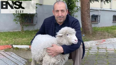 Adliye koridorlarının en sadık dostu: Tertip mesaiye başladı