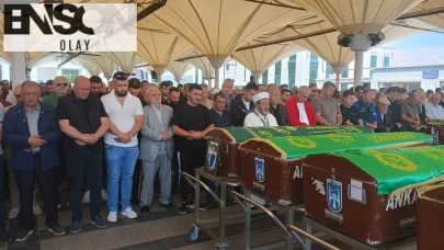 Doğanın kıymetli hediyesi: 107 yıl boyunca ormanlara hayat veren çınar ağacı sonsuza kadar uykuya dalıyor