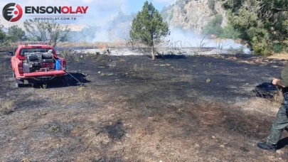 Bilecik'te elektrik direğinden yangın çıktı, 3 dönümlük alan yok oldu