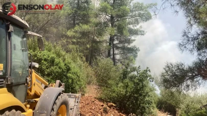 Bodrum'da ormanlık alanda yangın : Ekiplerin 1 saatlik çalışmasıyla söndürüldü