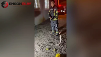 Osmaniye'de evde bulunan zehirli engerek yılanı yakalandı