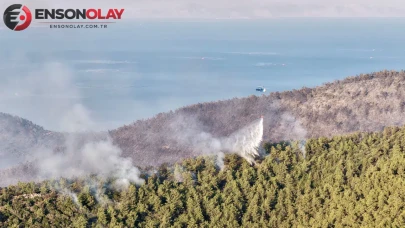 Milas'taki orman yangını nedeniyle bin 120 kişi tahliye edildi