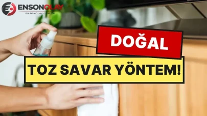Temizlik profesyonelleri tarafından paylaşılan sırlar: Evinizde günlerce toz birikimini engelleyen doğal sprey tarifi!