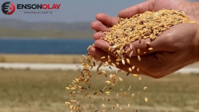 Toprak Mahsülleri Ofisi, 5 milyon tonluk hububat aldı