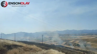 Elazığ'da rüzgarla yayılan alevler 40 dönümlük arpa tarlasını küle çevirdi