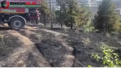 Ankara'da otluk alanda yangın çıktı