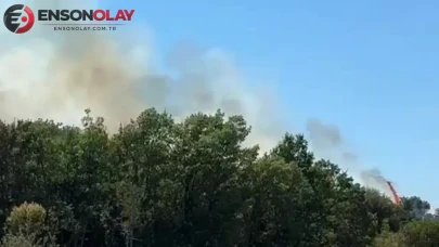 Bursa Kestel'deki orman yangını kontrol altına alınarak söndürüldü