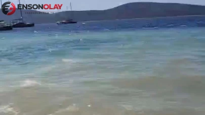 Bodrum'da deniz kirliliği iddialarıyla ilgili soruşturma başlatıldı
