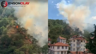 Kastamonu'da orman yangını : 40 dönümlük alan zarar gördü