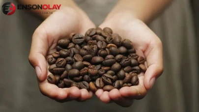 Kişi başı kahve tüketimi 2,5 kilograma koşuyor