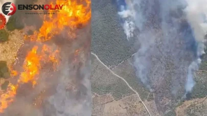 Manisa'nın Akhisar ilçesinde çıkan orman yangınında ekipler hızla müdahale ediyor