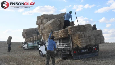 Tarım sektöründe hasat sonrası çalışmalar hız kazandı: Günlük kazanç rekor seviyede!