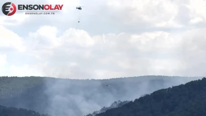 Kütahya'da Orman Yangınına Ekipler Anında Müdahale Ediyor!