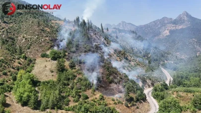 Adana Feke'de orman yangını : Havadan ve karadan müdahale ediliyor