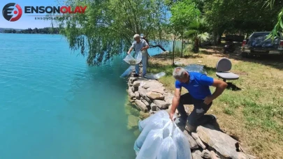 Manavgat’taki baraj gölü ve akarsulara 400 bin sazan yavrusu bırakıldı