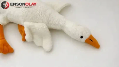 Ticaret Bakanlığı, 'peluş kaz' oyuncağının toplatılmasına karar verdi