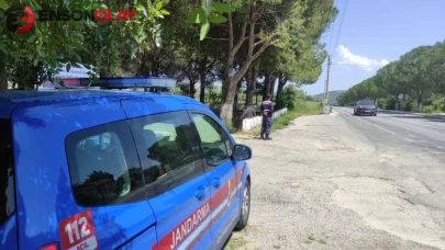 Aydın'da 'Daire' operasyonu: Farklı suçlardan aranan 36 kişi gözaltına alındı