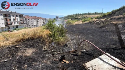 Düzce'de çıkan yangın kısa sürede büyüdü: 5 dönüm arazide tahribat meydana geldi