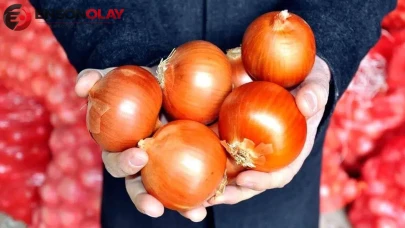 Soğan fiyatları cep yakıyor : Soğan neden bu kadar pahalı?
