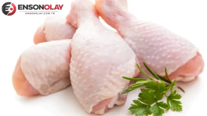 Tavuk fiyatlarında yaşanan artışın sebepleri üzerine araştırmalar devam ediyor