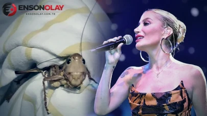 İrem Derici'nin Konseri Dev Çekirgelerin Ortasında: O Anı Mikrofonla Yakaladım!