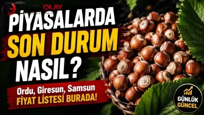 Fındık piyasası alev aldı : Fiyatlar yerinde durmuyor