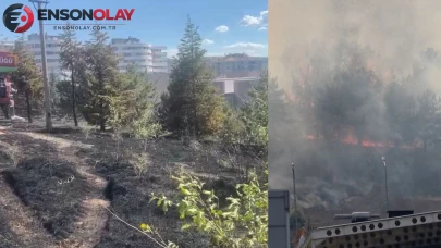 Ankara'da Orta Doğu Teknik Üniversitesi (ODTÜ) Ormanı'nda Çıkan Yangın Söndürüldü