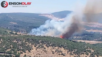 İzmir Bornova'da orman yangını
