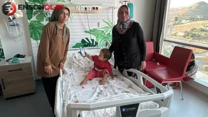 Niğde'de korkunç olay: Sahipli köpeğin saldırısında 2 yaşındaki çocuğun başına 22 dikiş atıldı