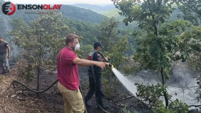 Bilecik'te 20 dönümlük alanda çıkan yangın kontrol altına alındı