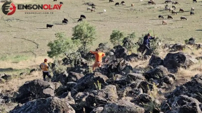 Bitlis'te çıkan yangın 500 dönümlük otluk alanda büyük zarara yol açtı