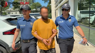 Samsun'da kediye tekme atan şahıs tutuklandı : Sinirliydim, pişmanım