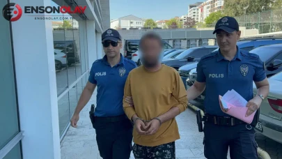 Samsun'da kediye tekme atan şahıs adliyeye sevk edildi