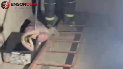 Osmaniye'de bir evde zehirli engerek yılanı görülmesi paniğe neden oldu.