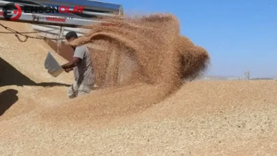 Yozgat'ta hububat hasadı sonrası saman fiyatları düştü