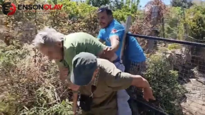 Bodrum'da kendini yakmak isteyen kadın, 10 hektarlık alanı küle çevirdi