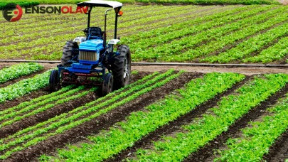Tarım Ürünleri Üretici Fiyat Endeksi Yıllık %9,55 Artış Gösterdi, Aylık İse %9,02 Geriledi