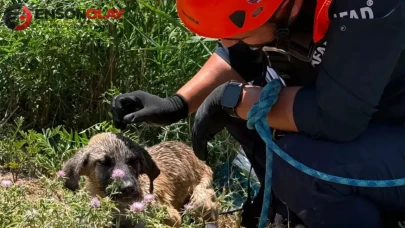 Siirt'te mahalle sakinleri, kuyuya düşen köpeği kurtardı!