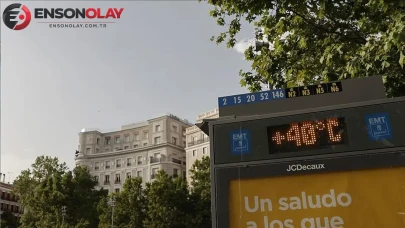Avrupa'da yaşanan aşırı sıcaklar sonucunda 10 binden fazla kişi hayatını kaybetti