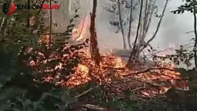 Bursa'da çıkan orman yangını, büyümeden söndürüldü