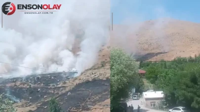Bitlis'te yangın nedeniyle binlerce arı telef oldu