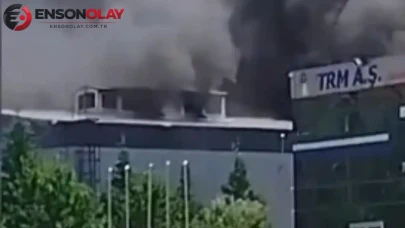 Sakarya'da geri dönüşüm fabrikasında çıkan yangın söndürüldü