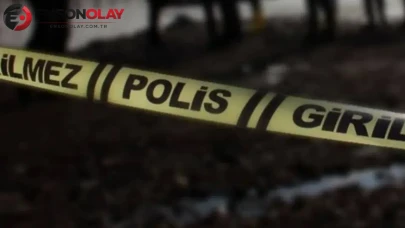 Samsun'da yaşlı adam kestiği ağacın altında kalıp hayatını kaybetti