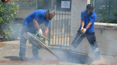 Antalya’da vektörel mücadele 4 koldan sürüyor