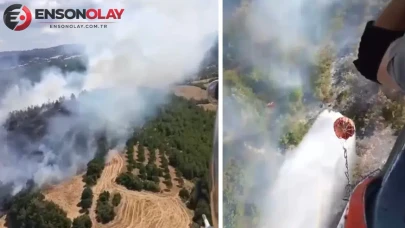 Balıkesir Altıeylül’de yangın çıktı : Alevler ormanlık alana sıçradı