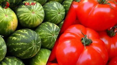 İstanbul'da Haziran Ayında Karpuz ve Domates Tüketimi Zirvede!